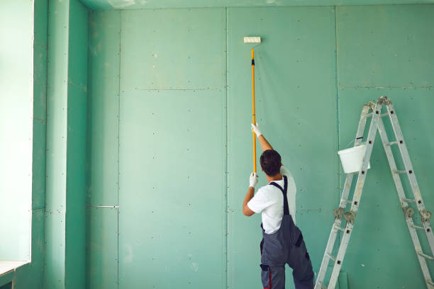 Best Airborne Mold Testing  in Franklin, NC