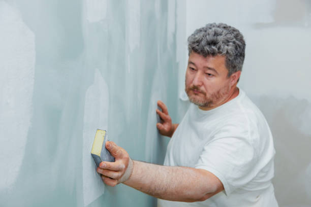 Best Commercial Mold Inspection  in Franklin, NC