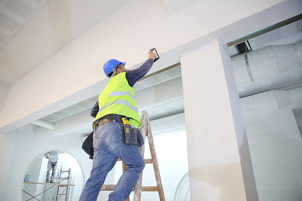 Reliable Franklin, NC Mold Removal Solutions